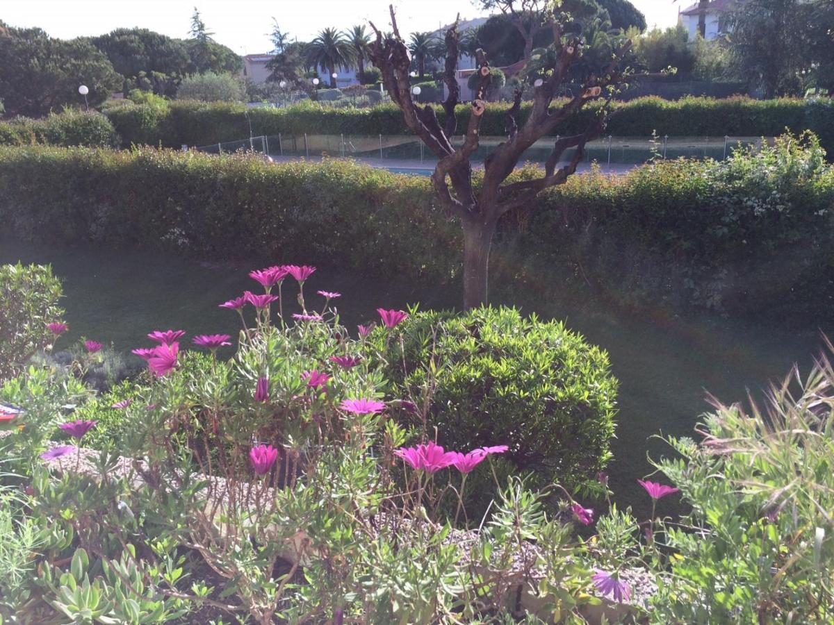 אנטיב Appartement 2 Pieces, Renove, 2 Piscines+Tennis, Mer, Climatisation מראה חיצוני תמונה